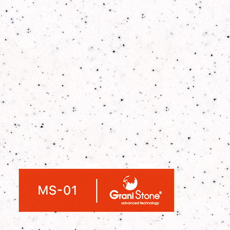 ������ ������ GraniStone, ��������� Twin-MS, ���. MS-01