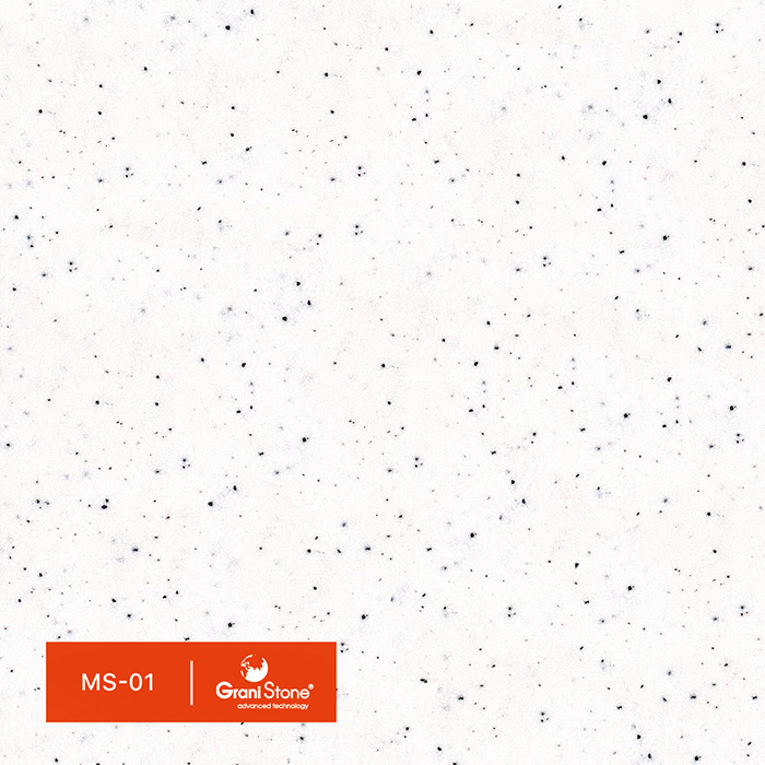 ������ ������ GraniStone, ��������� Twin-MS, ���. MS-01