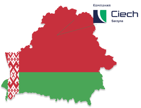 Group 4.png